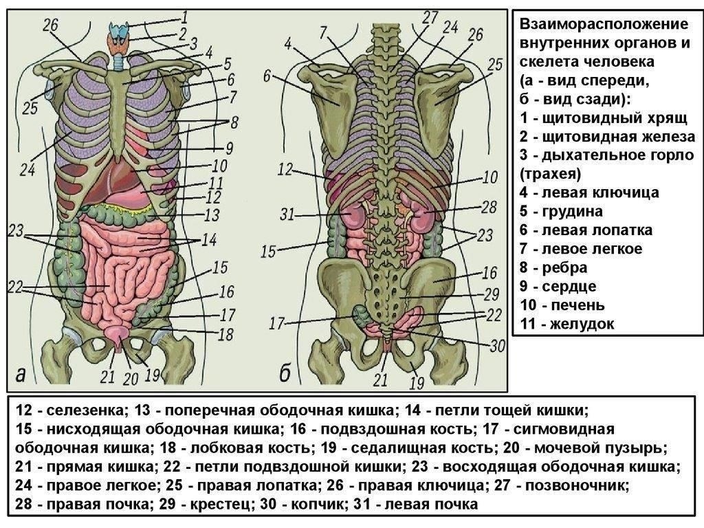 Расписание болезней: Статья 25 с пояснениями