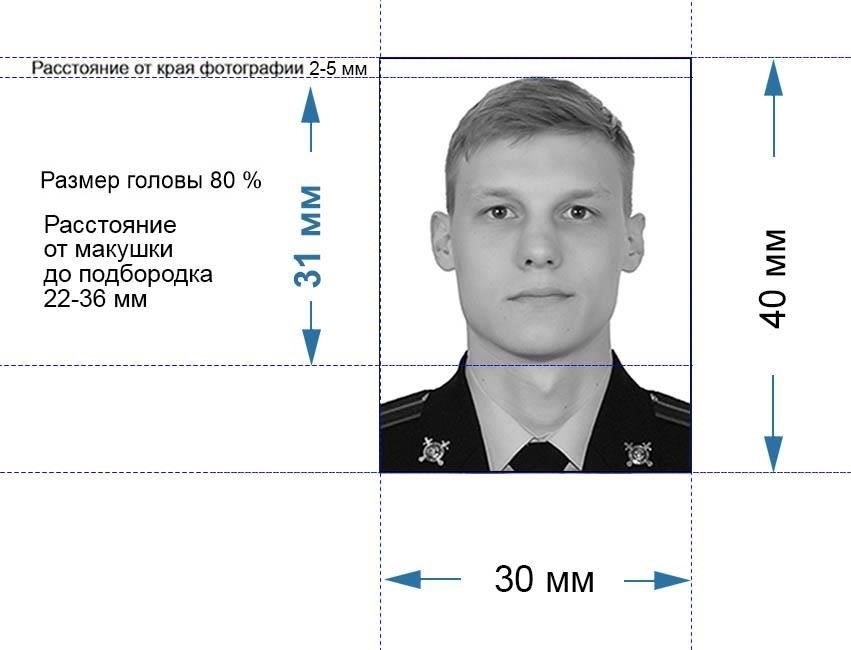 Стандартные и нестандартные размеры: Выбор правильной обложки для военного билета