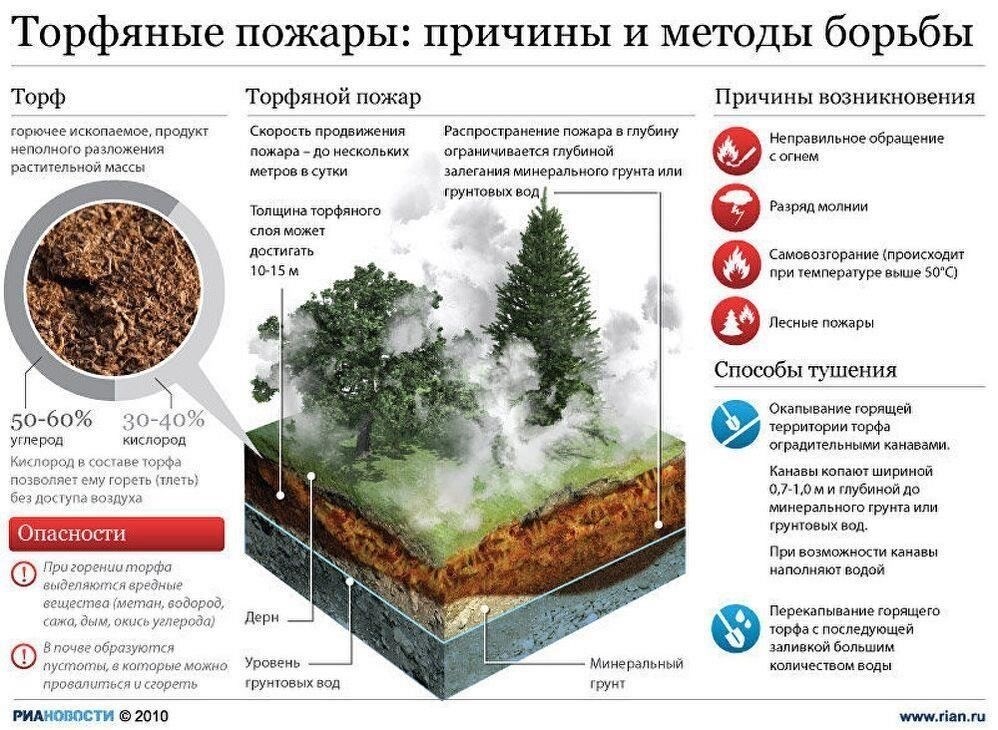 Влияние торфяных пожаров на местные сообщества и экологию