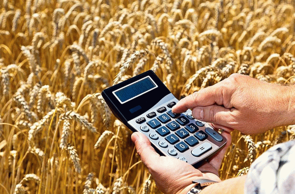 Субсидии для бизнеса на организацию крестьянско-фермерского хозяйства