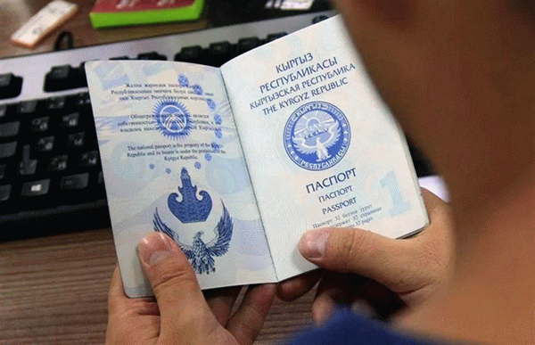 С какими странами разрешено двойное гражданство в России?