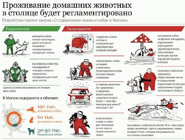 Правила выгула в Москве